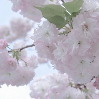 逊克FurryQQ群介绍